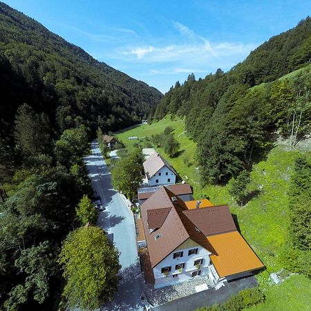 Guest House Gostisce Gacnk V Logu 采尔克诺 外观 照片