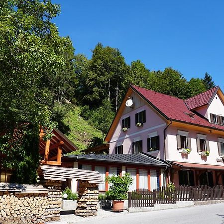 Guest House Gostisce Gacnk V Logu 采尔克诺 外观 照片