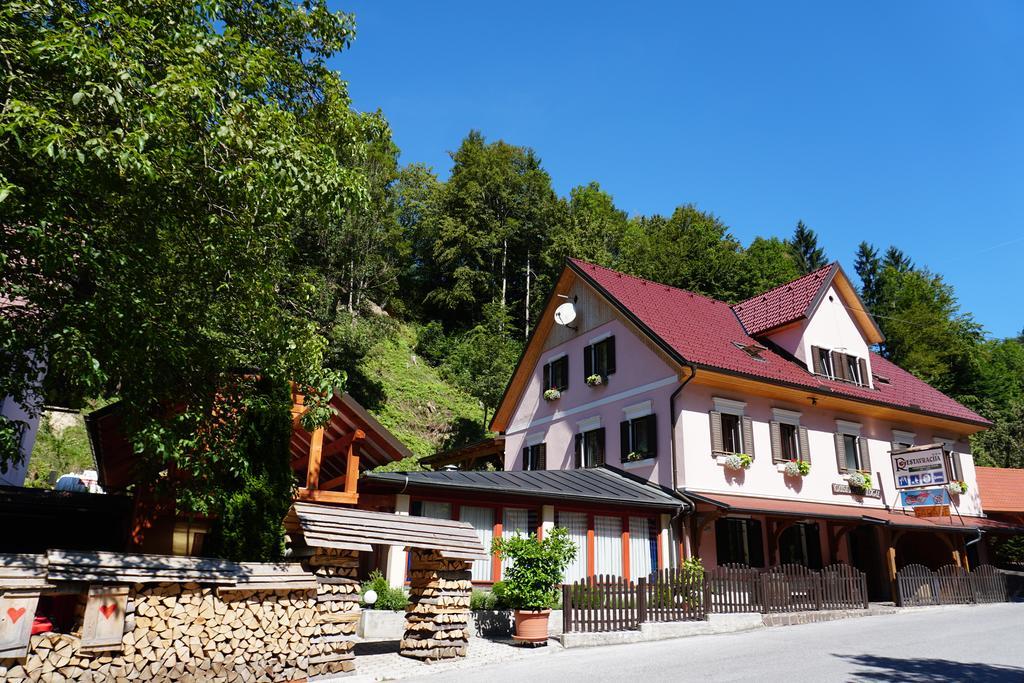 Guest House Gostisce Gacnk V Logu 采尔克诺 外观 照片
