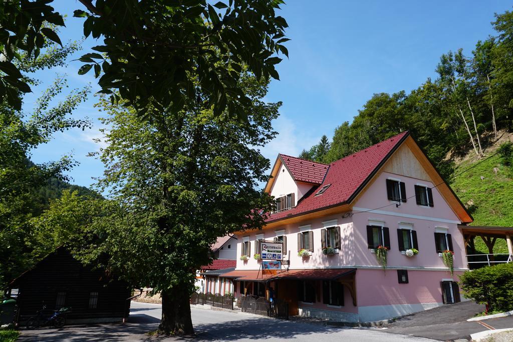 Guest House Gostisce Gacnk V Logu 采尔克诺 外观 照片